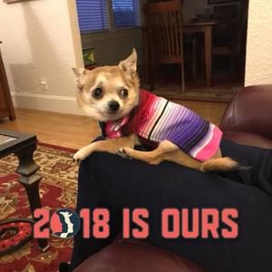 Meet your Posher, Laurie